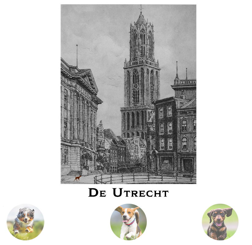 homepage de utrecht
